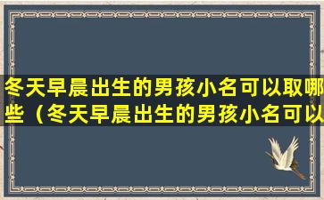 冬天早晨出生的男孩小名可以取哪些（冬天早晨出生的男孩小名可以取哪些名字好）