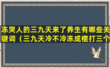 冻哭人的三九天来了养生有哪些关键词（三九天冷不冷冻成棍打三个数字）