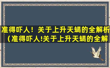 准得吓人！关于上升天蝎的全解析（准得吓人!关于上升天蝎的全解析）