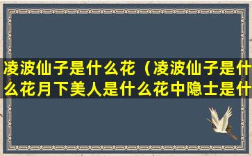 凌波仙子是什么花（凌波仙子是什么花月下美人是什么花中隐士是什么花）