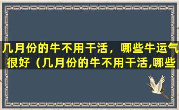 几月份的牛不用干活，哪些牛运气很好（几月份的牛不用干活,哪些牛运气很好）