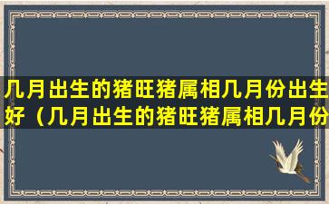 几月出生的猪旺猪属相几月份出生好（几月出生的猪旺猪属相几月份出生好呢）