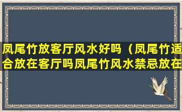 凤尾竹放客厅风水好吗（凤尾竹适合放在客厅吗凤尾竹风水禁忌放在什么地方好）