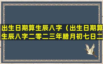 出生日期算生辰八字（出生日期算生辰八字二零二三年腊月初七日二十时）