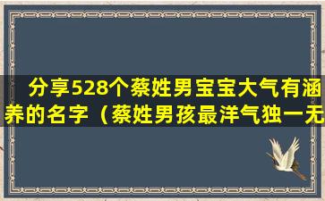 分享528个蔡姓男宝宝大气有涵养的名字（蔡姓男孩最洋气独一无二的单名）