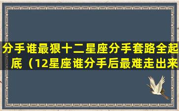 分手谁最狠十二星座分手套路全起底（12星座谁分手后最难走出来）