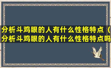 分析斗鸡眼的人有什么性格特点（分析斗鸡眼的人有什么性格特点吗）