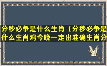 分秒必争是什么生肖（分秒必争是什么生肖鸡今晚一定出准确生肖分秒必争）