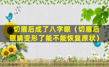 切眉后成了八字眼（切眉后眼睛变形了能不能恢复原状）