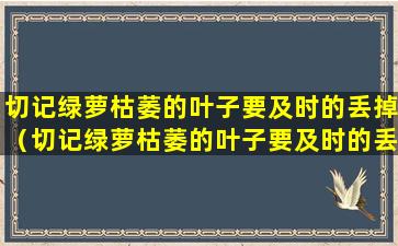 切记绿萝枯萎的叶子要及时的丢掉（切记绿萝枯萎的叶子要及时的丢掉嘛）