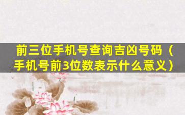 前三位手机号查询吉凶号码（手机号前3位数表示什么意义）