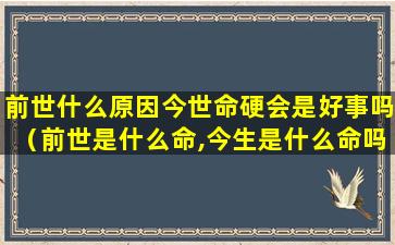 前世什么原因今世命硬会是好事吗（前世是什么命,今生是什么命吗）