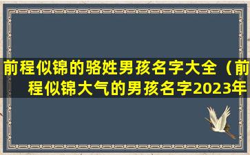 前程似锦的骆姓男孩名字大全（前程似锦大气的男孩名字2023年）