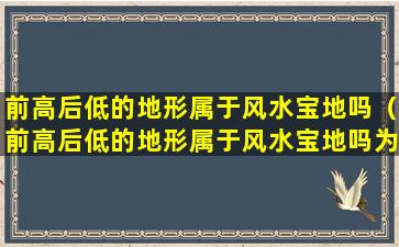 前高后低的地形属于风水宝地吗（前高后低的地形属于风水宝地吗为什么）