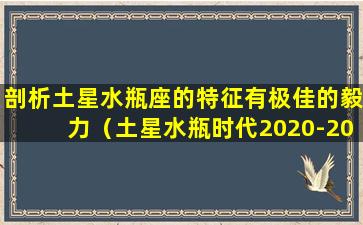 剖析土星水瓶座的特征有极佳的毅力（土星水瓶时代2020-2022）