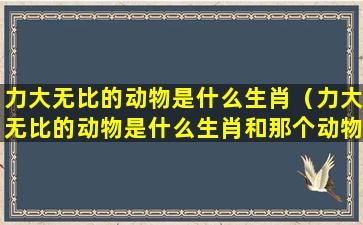 力大无比的动物是什么生肖（力大无比的动物是什么生肖和那个动物最精准）