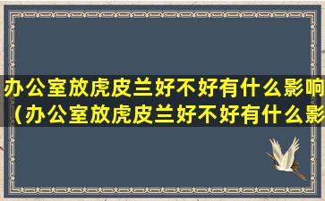 办公室放虎皮兰好不好有什么影响（办公室放虎皮兰好不好有什么影响吗）