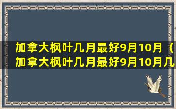 加拿大枫叶几月最好9月10月（加拿大枫叶几月最好9月10月几日）