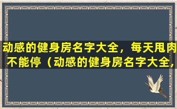 动感的健身房名字大全，每天甩肉不能停（动感的健身房名字大全,每天甩肉不能停）