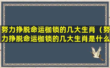 努力挣脱命运枷锁的几大生肖（努力挣脱命运枷锁的几大生肖是什么）