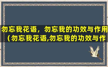 勿忘我花语，勿忘我的功效与作用（勿忘我花语,勿忘我的功效与作用）