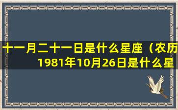 十一月二十一日是什么星座（农历1981年10月26日是什么星座）