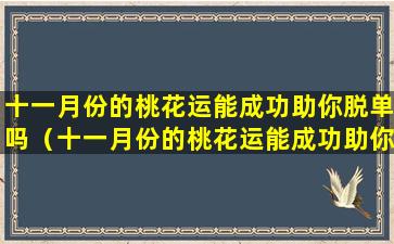 十一月份的桃花运能成功助你脱单吗（十一月份的桃花运能成功助你脱单吗为什么）