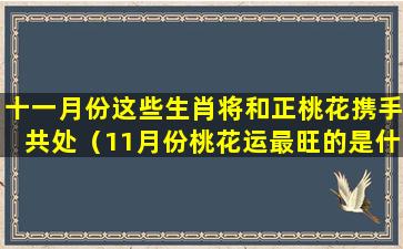 十一月份这些生肖将和正桃花携手共处（11月份桃花运最旺的是什么星座）