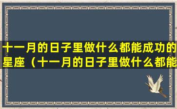 十一月的日子里做什么都能成功的星座（十一月的日子里做什么都能成功的星座有哪些）