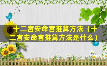 十二宫安命宫推算方法（十二宫安命宫推算方法是什么）