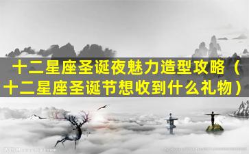 十二星座圣诞夜魅力造型攻略（十二星座圣诞节想收到什么礼物）