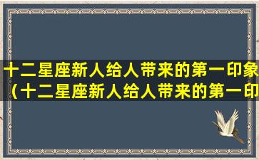 十二星座新人给人带来的第一印象（十二星座新人给人带来的第一印象是什么）