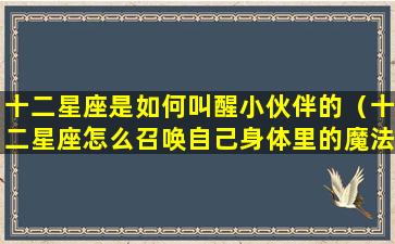 十二星座是如何叫醒小伙伴的（十二星座怎么召唤自己身体里的魔法）