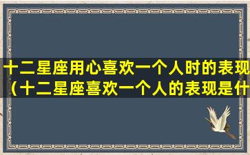 十二星座用心喜欢一个人时的表现（十二星座喜欢一个人的表现是什么样的呢）