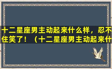 十二星座男主动起来什么样，忍不住笑了！（十二星座男主动起来什么样,忍不住笑了一下）