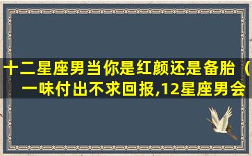 十二星座男当你是红颜还是备胎（一味付出不求回报,12星座男会甘愿当“备胎”吗）