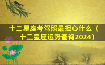 十二星座考驾照最担心什么（十二星座运势查询2024）