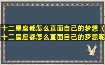 十二星座都怎么直面自己的梦想（十二星座都怎么直面自己的梦想呢）