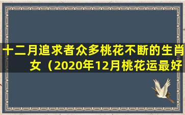 十二月追求者众多桃花不断的生肖女（2020年12月桃花运最好的星座）