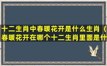 十二生肖中春暖花开是什么生肖（春暖花开在哪个十二生肖里面是什么意思啊）