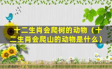 十二生肖会爬树的动物（十二生肖会爬山的动物是什么）