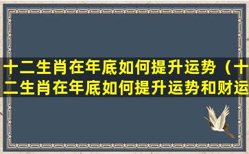 十二生肖在年底如何提升运势（十二生肖在年底如何提升运势和财运）