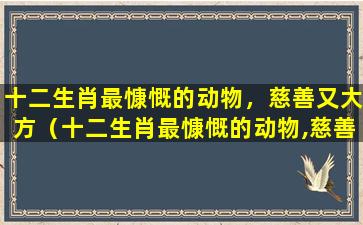 十二生肖最慷慨的动物，慈善又大方（十二生肖最慷慨的动物,慈善又大方）