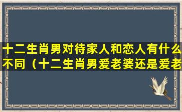 十二生肖男对待家人和恋人有什么不同（十二生肖男爱老婆还是爱老妈）