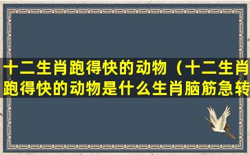 十二生肖跑得快的动物（十二生肖跑得快的动物是什么生肖脑筋急转弯）