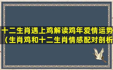 十二生肖遇上鸡解读鸡年爱情运势（生肖鸡和十二生肖情感配对剖析）