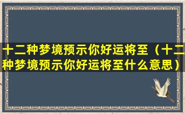 十二种梦境预示你好运将至（十二种梦境预示你好运将至什么意思）