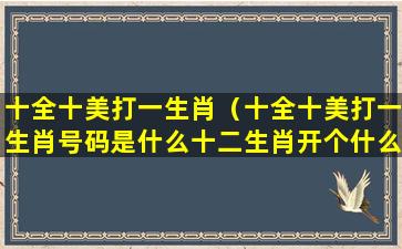 十全十美打一生肖（十全十美打一生肖号码是什么十二生肖开个什么）