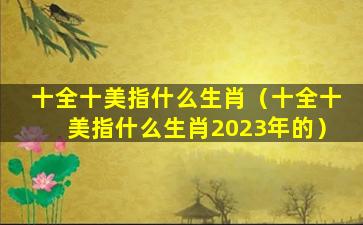 十全十美指什么生肖（十全十美指什么生肖2023年的）