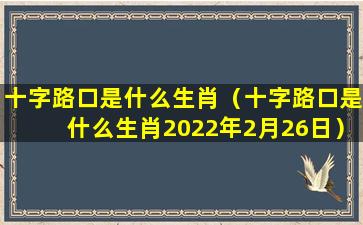 十字路口是什么生肖（十字路口是什么生肖2022年2月26日）